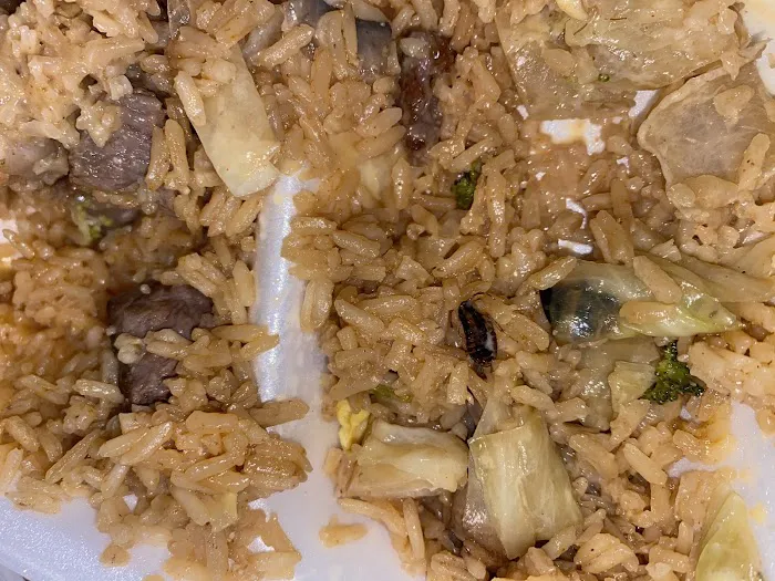 Jing Jing Chinese Restaurant 7