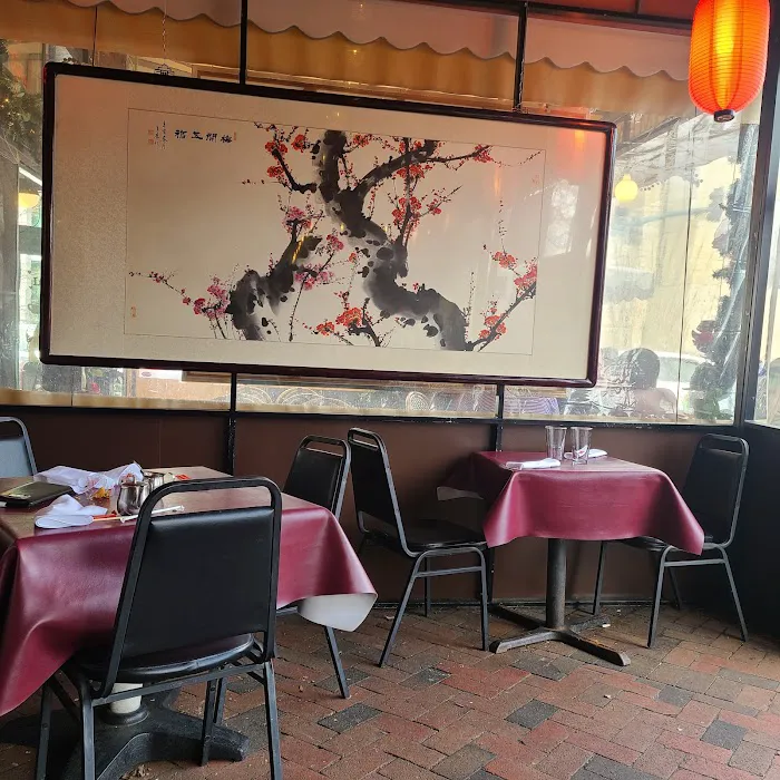 The Noodle Shop 6