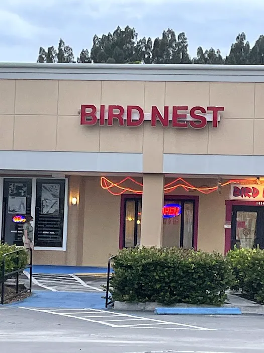 Bird Nest Tree 10