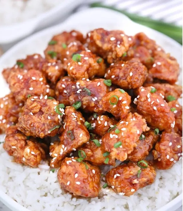 Mr Hibachi 10