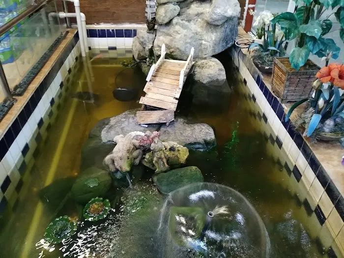 King Super Buffet 3