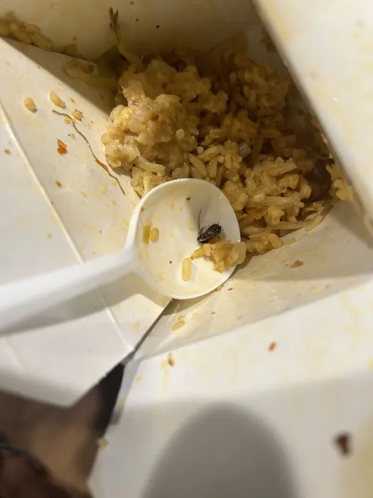 Silver Wok 6