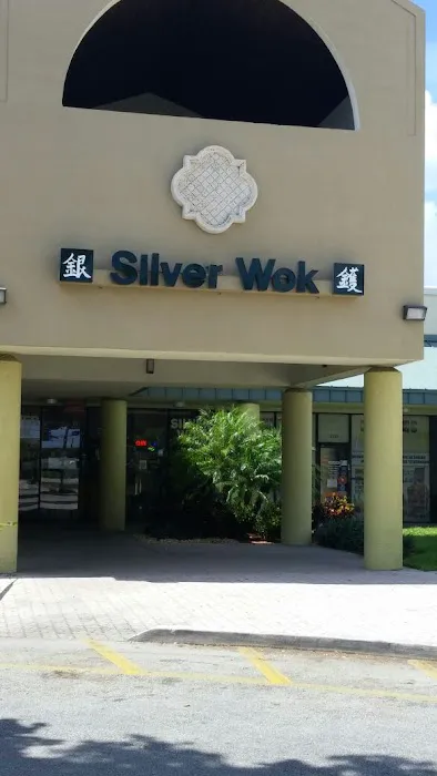 Silver Wok 9