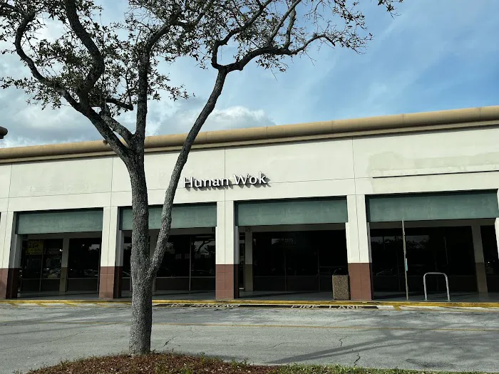 Hunan Wok 7