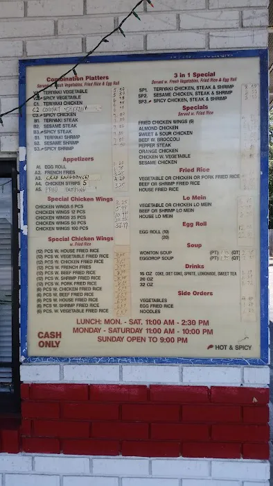 Teriyaki Express 9