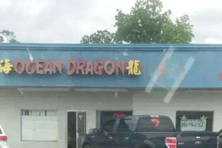 Ocean Dragon
