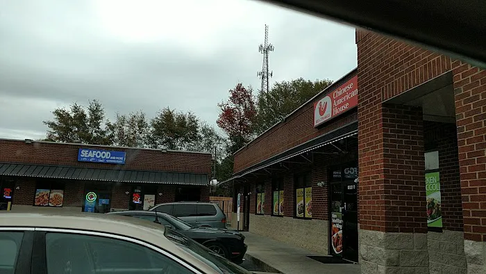 Chinese American House 1