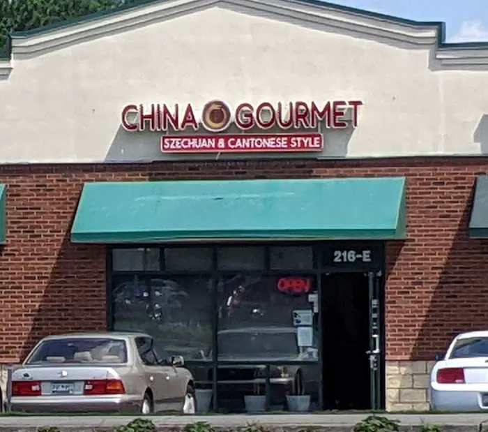 China Gourmet Takeout 2