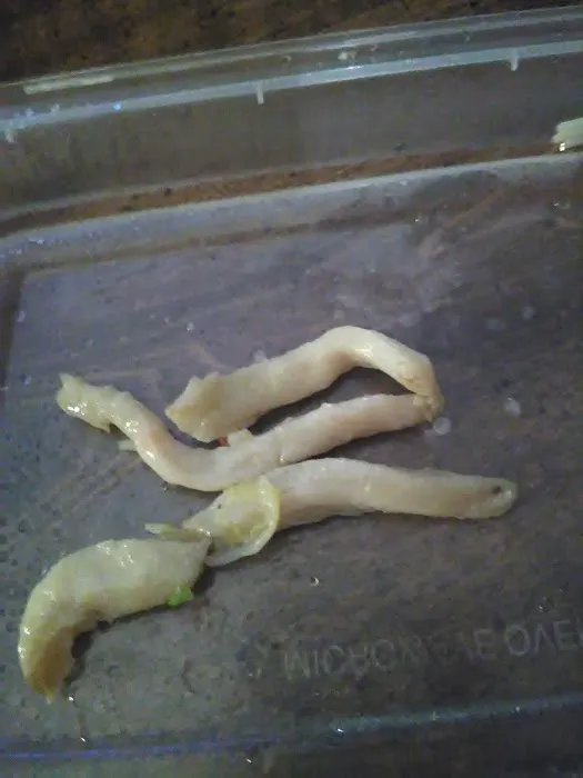 No 1 Kitchen 10