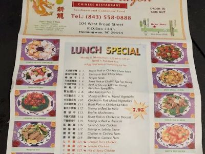 New Dragon Chinese Restaurant 0