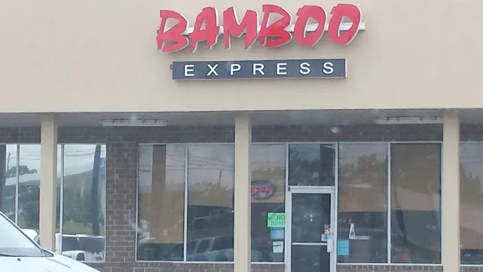 Bamboo Express 10