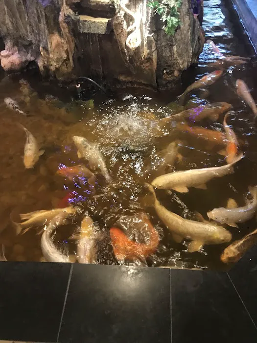 Chow Time Buffet 8