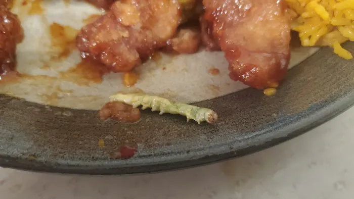 Great Chinese Buffet 3