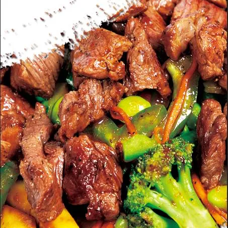 Ninja Grill Hibachi Express 1