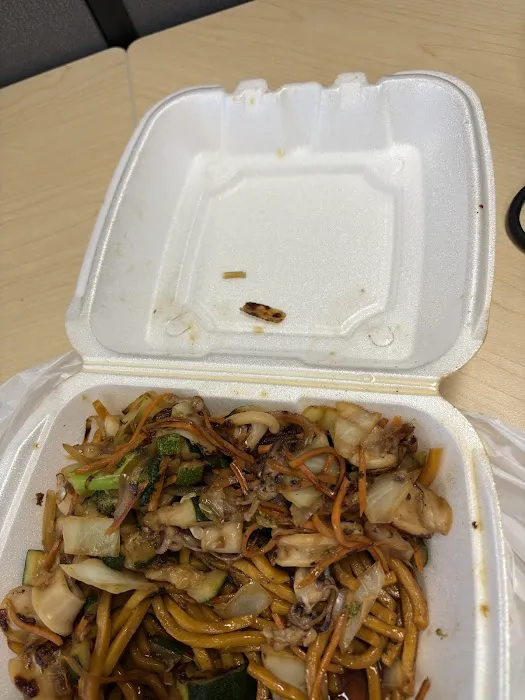 Ninja Grill Hibachi Express 3