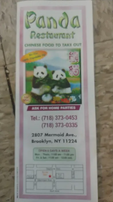 Panda 1