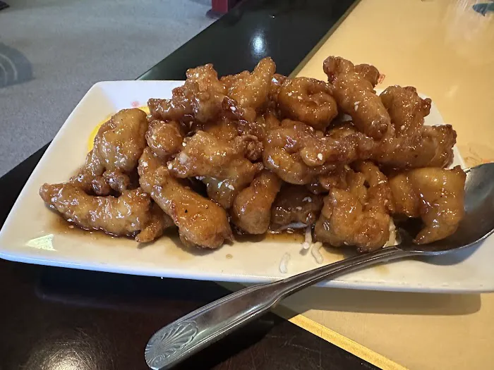 Osaka Hibachi Japanese Steak 4
