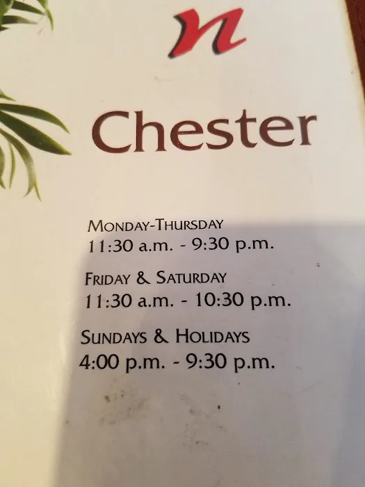 Hunan Chester 6