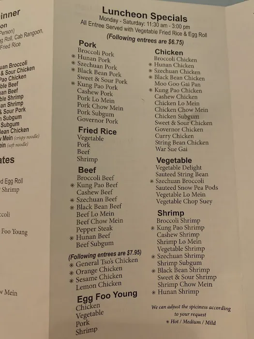 Hunan Chester 10