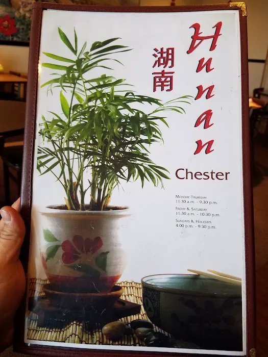 Hunan Chester 9