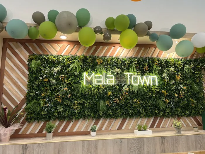 MalaTown Express 自选麻辣烫 8