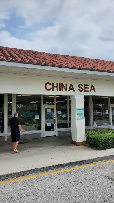 China Sea 9