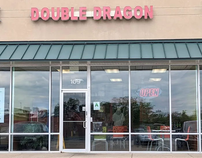 Double Dragon 9 3