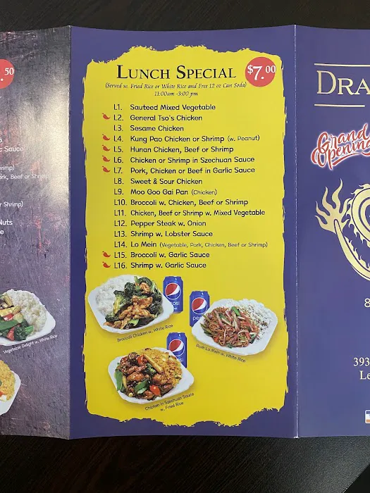 Dragon City 7