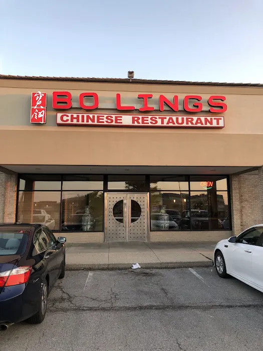 Bo Lings 1