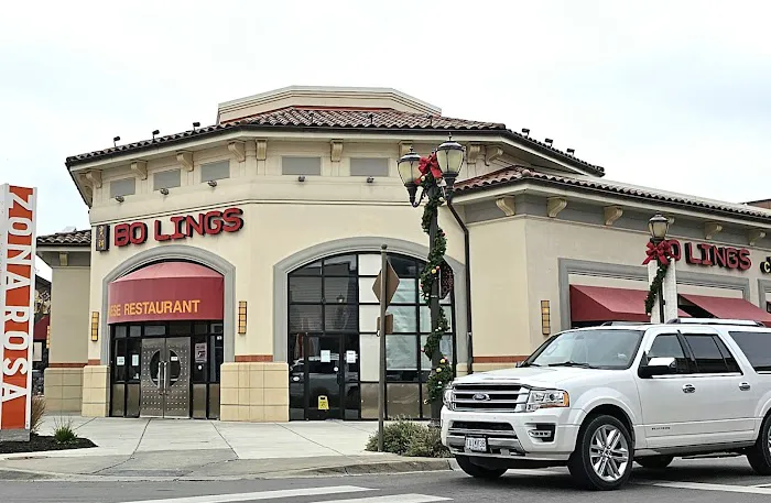 Bo Lings 1