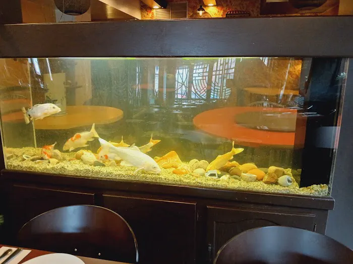 Rainbow Chinese Restaurant & Bar 7