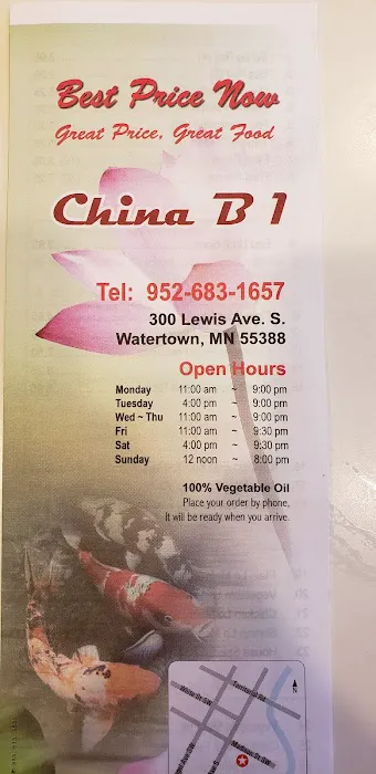 China B1 9