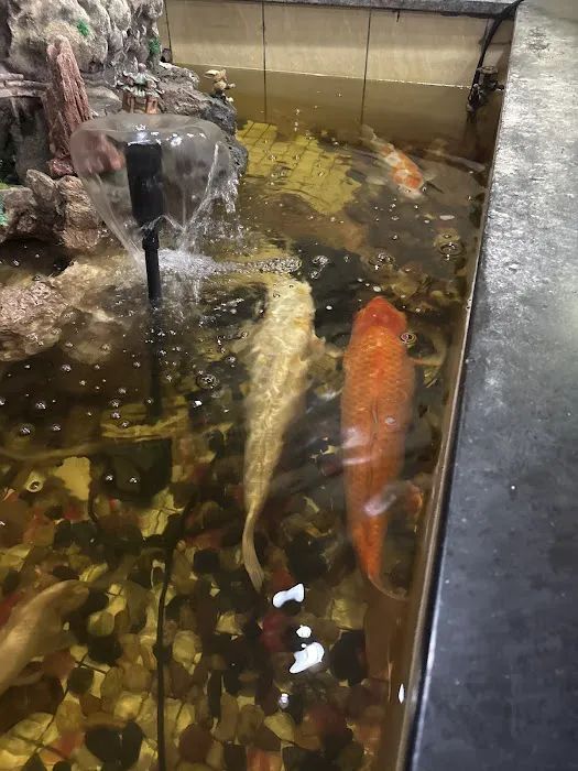 Super World Buffet 8