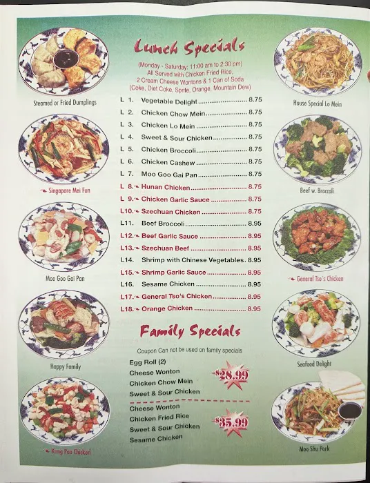 CHINA WOK 5