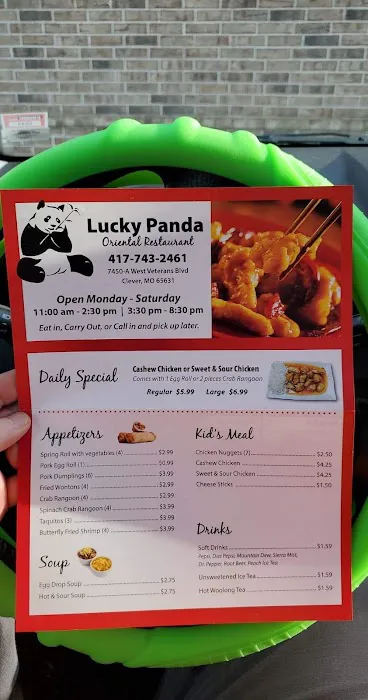 Lucky Panda 9