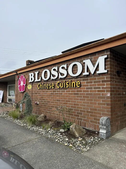 Blossom | Chinese Cuisine 8