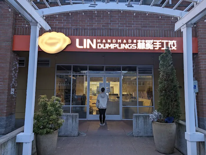 Lin Handmade Dumplings 3