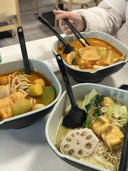 Qing Shu Spicy Hot Pot 青蔬麻辣烫 2