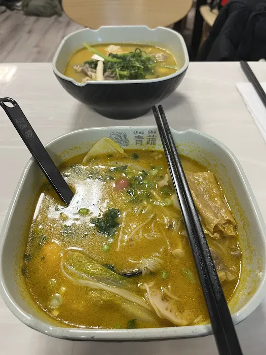 Qing Shu Spicy Hot Pot 青蔬麻辣烫 10