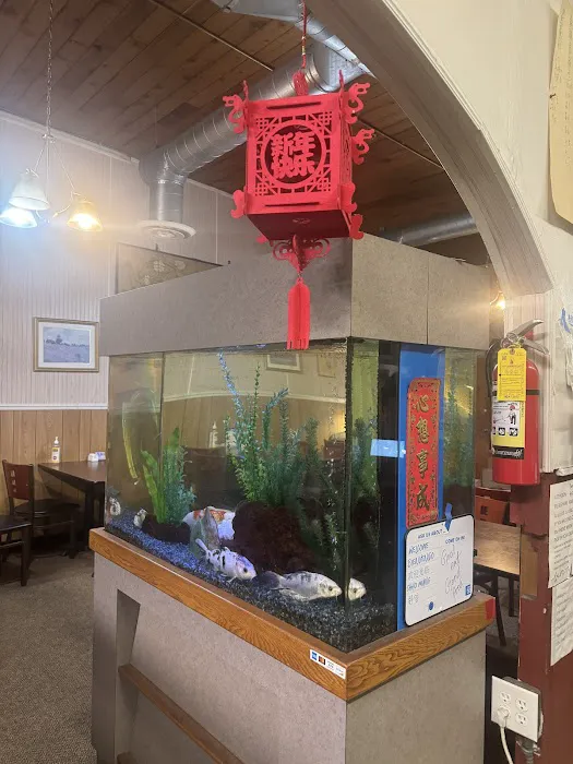 Johnny's Wok Restaurant 9