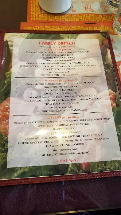 Asian Wok 4