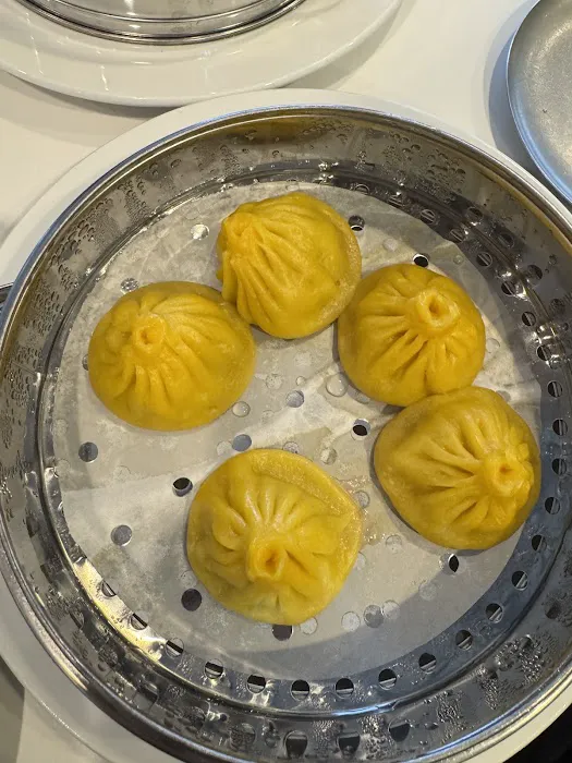 Bao Gogo 7