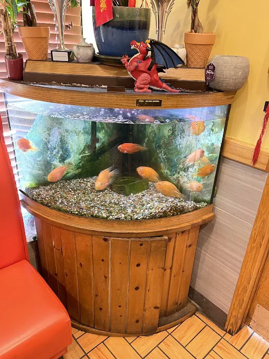New Grand Buffet 6