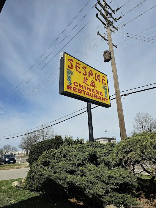 Sesame 6
