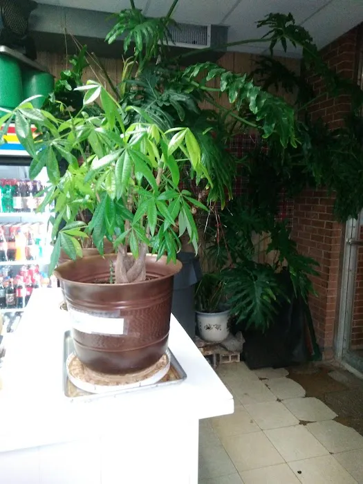 Lam's Garden 4