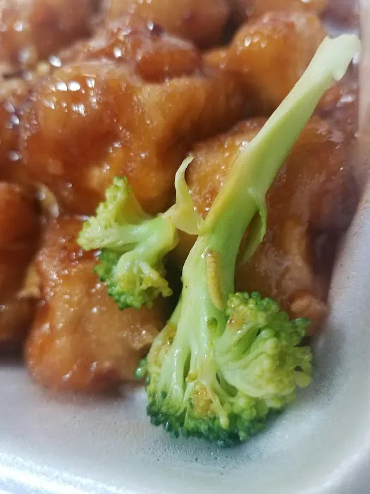 Wok Express 8