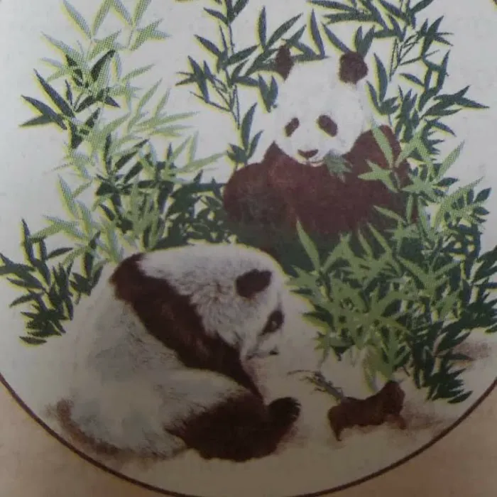 Panda Restaurant 9