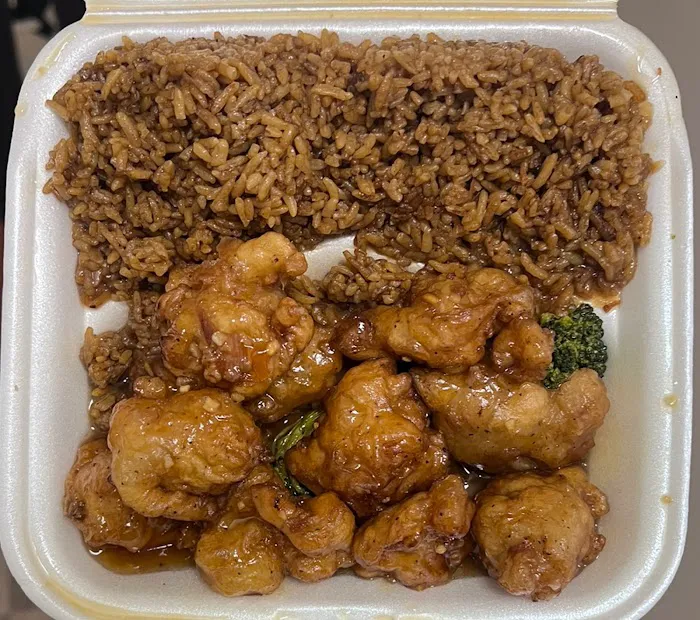 Oriental Chop Suey 8
