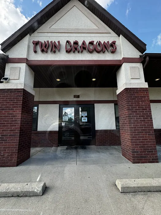 Twin Dragons 2