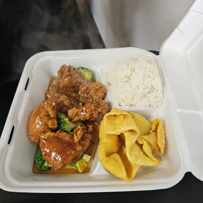 Orient Wok Chop Suey 8